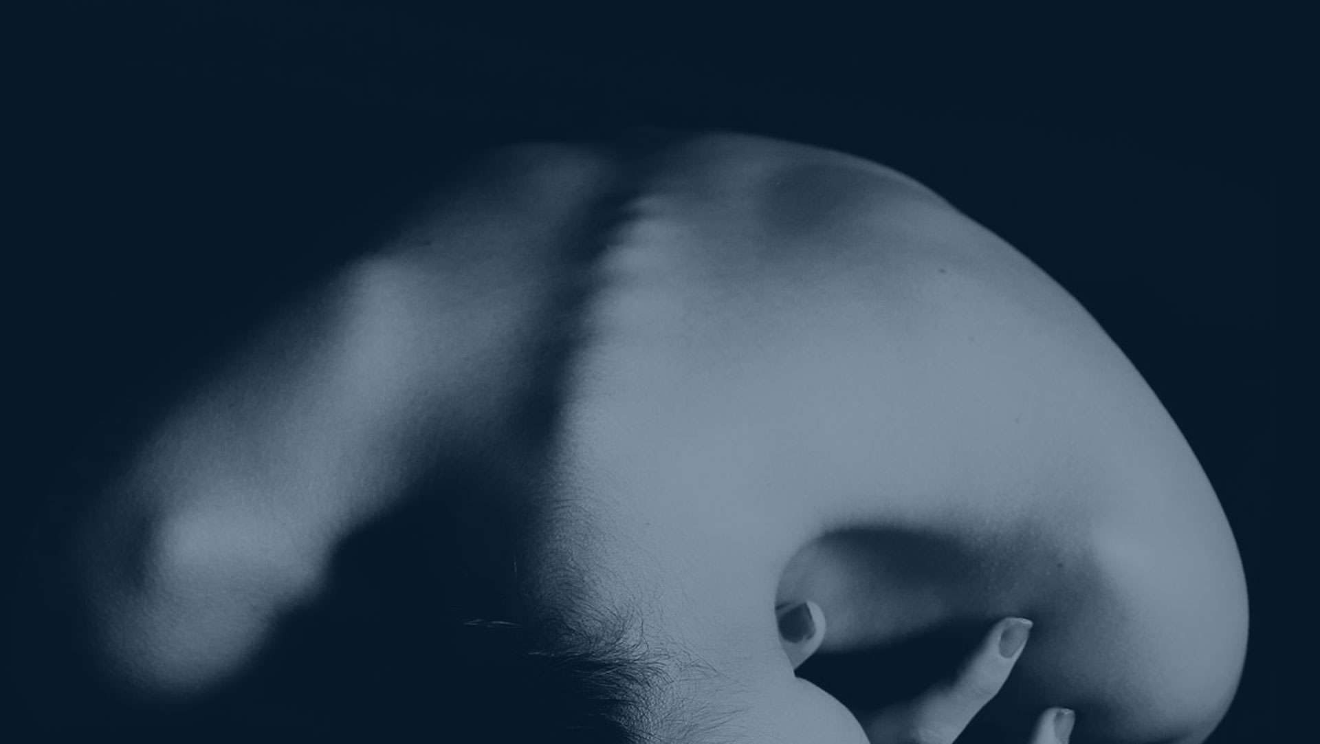 Understanding the Spine