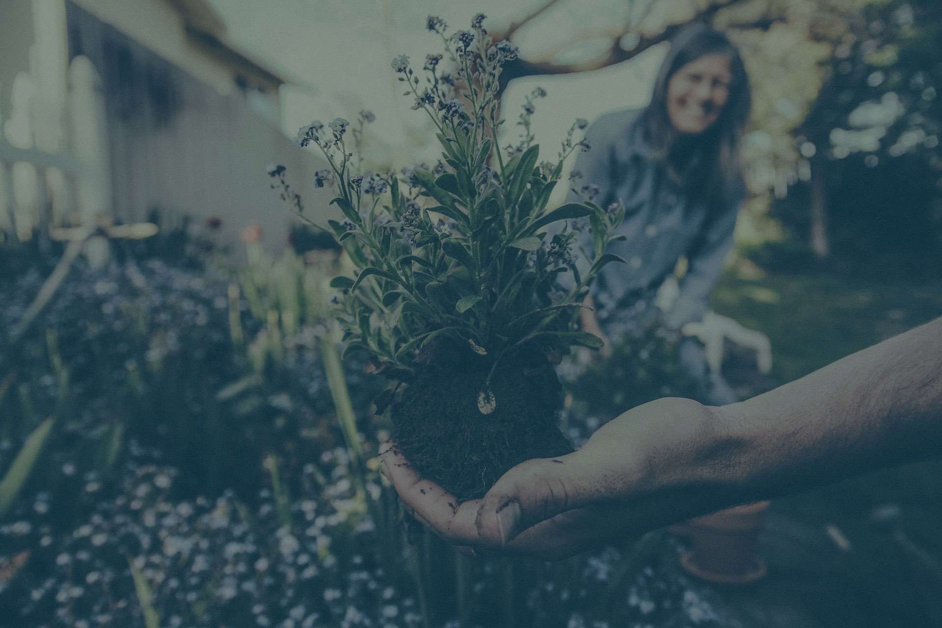 How Gardening Affects Posture