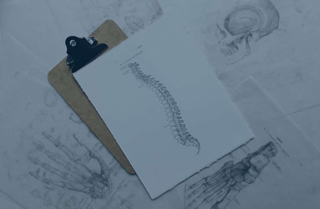 How Good Posture Supports MSK Health